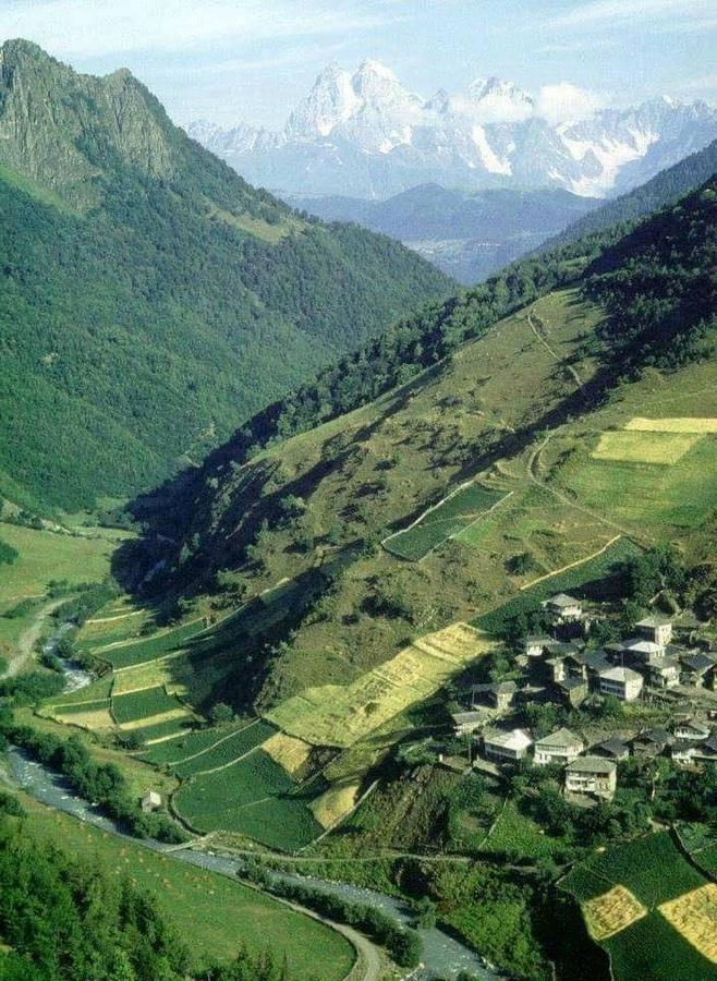 Vichnashi Otel Mestia Dış mekan fotoğraf